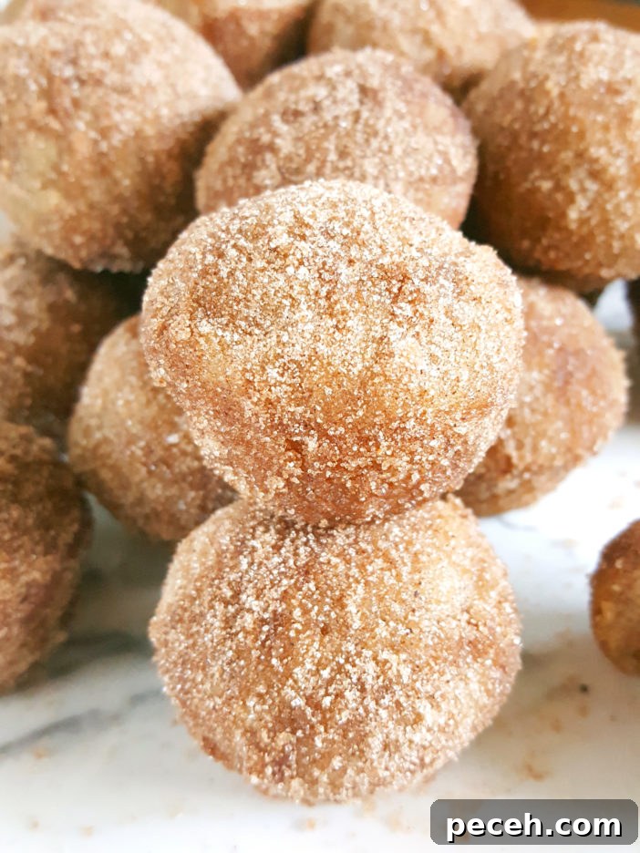 Mini Cinnamon Sugar Donut Muffins with Sour Cream 5 Mini Old-Fashioned Cinnamon Sugar Sour Cream Donut Muffins - Easy recipe for baked cinnamon sugar doughnuts in a mini muffin pan.