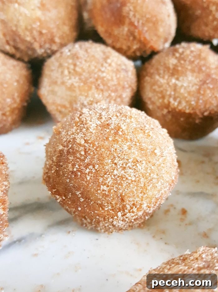 Mini Cinnamon Sugar Donut Muffins with Sour Cream 6 Mini Old-Fashioned Cinnamon Sugar Sour Cream Donut Muffins - Easy recipe for baked cinnamon sugar doughnuts in a mini muffin pan.
