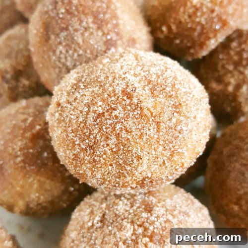 Mini Old-Fashioned Cinnamon Sugar Sour Cream Donut Muffins