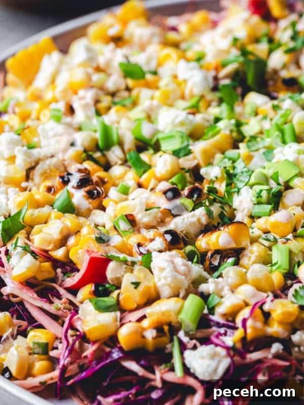 New Mexican Pork Adovada with Red Chile Sauce 17 A colorful Mexican Street Corn Salad on a plate, featuring charred corn, crumbled feta cheese, chopped green onions, and red cabbage.