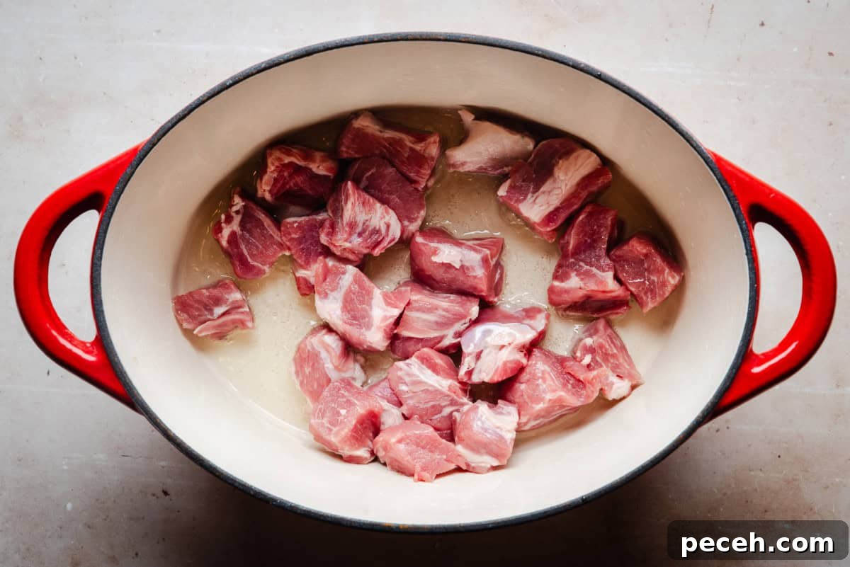 New Mexican Pork Adovada with Red Chile Sauce 4 Chunks of raw pork shoulder in a large, oval-shaped red pot on a light countertop.