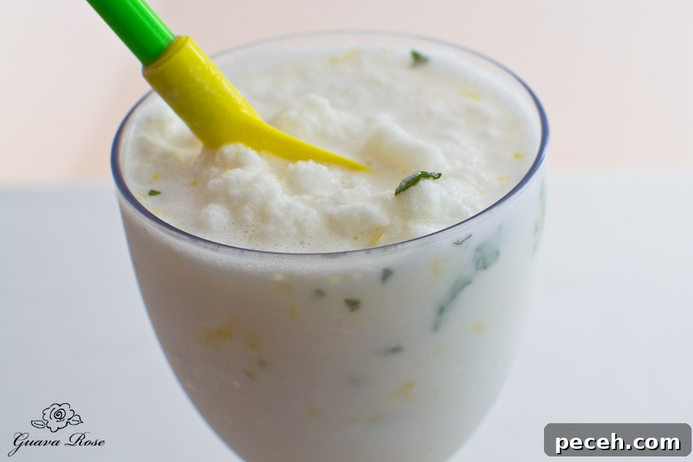Honey lemon greek yogurt slushie, close up Honey lemon greek yogurt slushie, close up