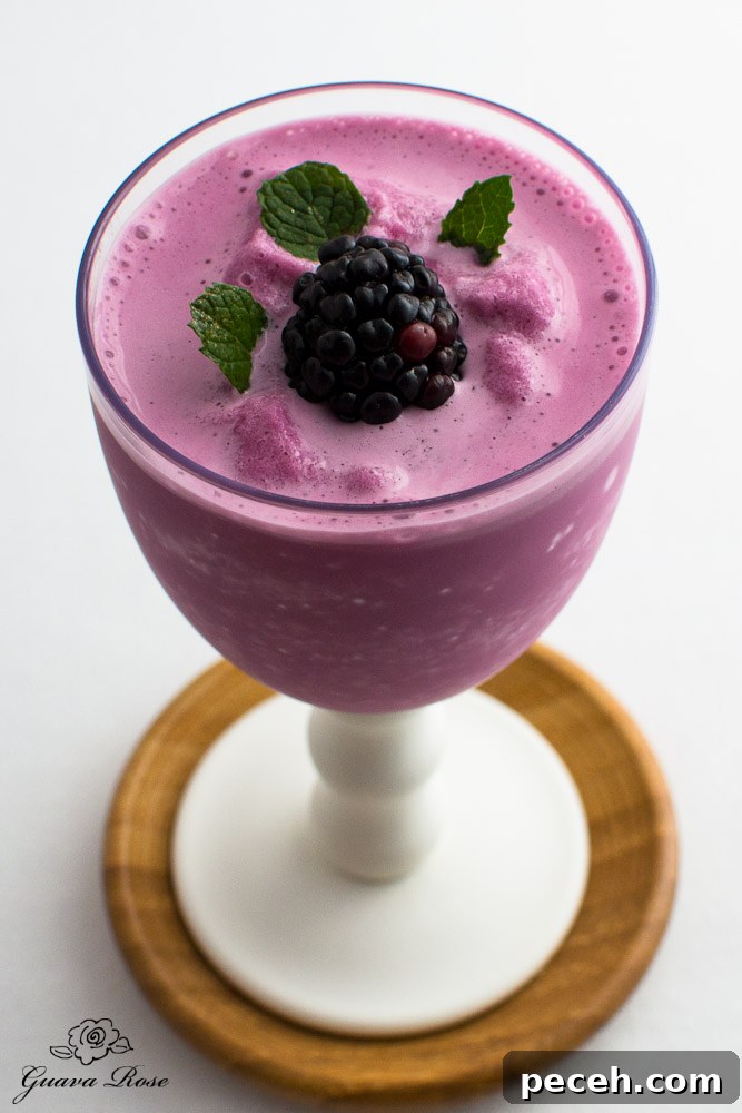 Grape greek yogurt slushie, top side view Grape greek yogurt slushie, top side view