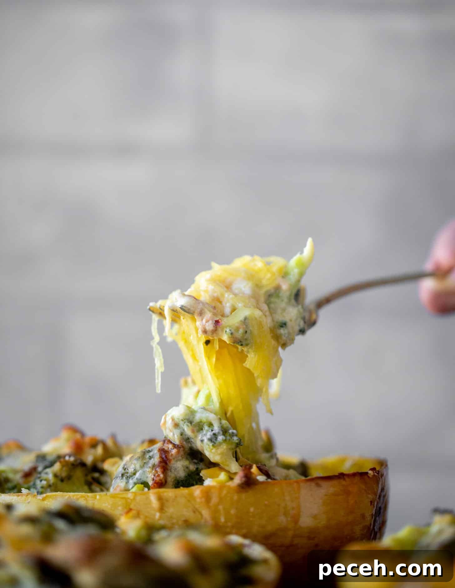 Spaghetti Squash Stuffed with Broccoli and Cheddar 3 cheesy broccoli cheddar spaghetti squash