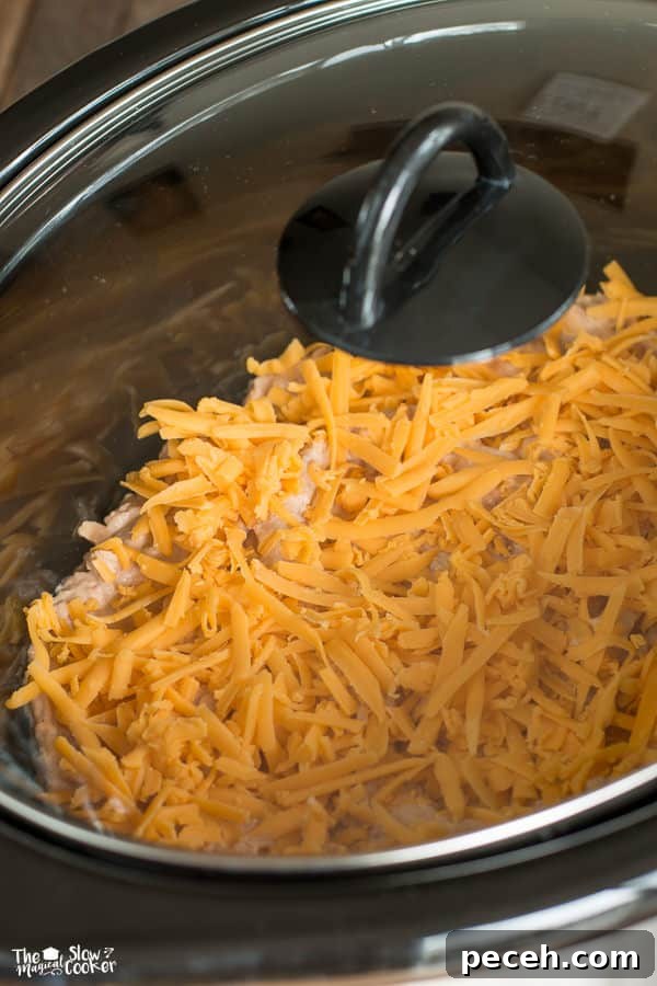 Creamy Bean and Cheese Dip for Parties 2 Bean dip with cheese on top with lid on slow cooker.
