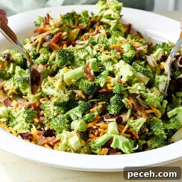 Stovetop Steamed Broccoli for Tender, Vibrant Florets 7 Two spoons in a bowl of Broccoli Salad.