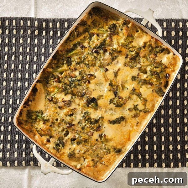 Stovetop Steamed Broccoli for Tender, Vibrant Florets 8 Creamy broccoli casserole in dish.